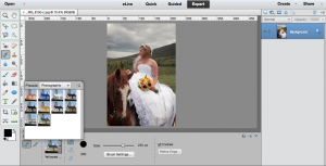Decoding the Photoshop Selection Tools: Selection Brush