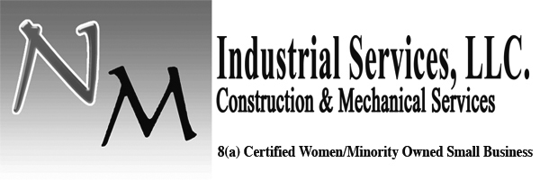 Custom Excel Services NM Industrial