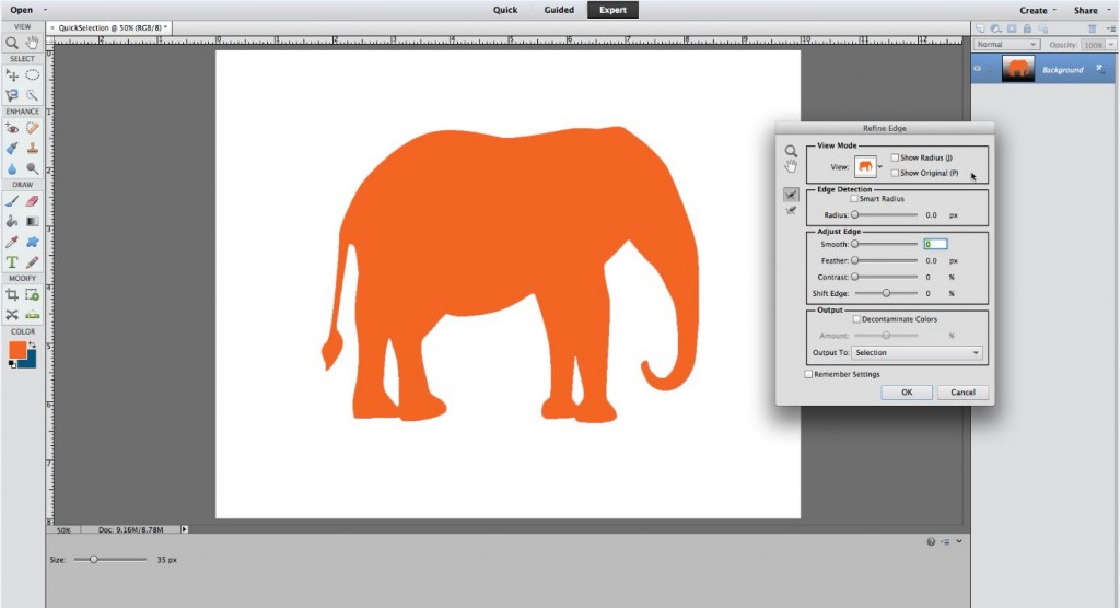 Decoding the Photoshop Selection Tools: Quick Selection