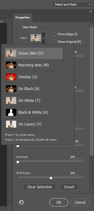 Refine Edge Photoshop Onion Skin