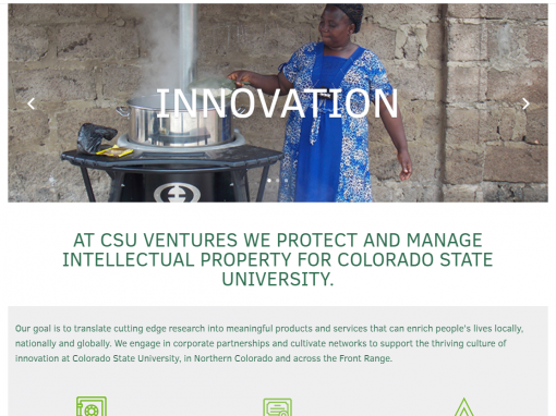 Website Design for CSU Ventures