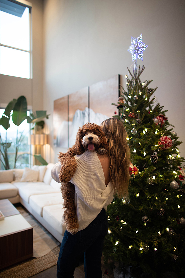 Holiday Photo Tips for Beginners