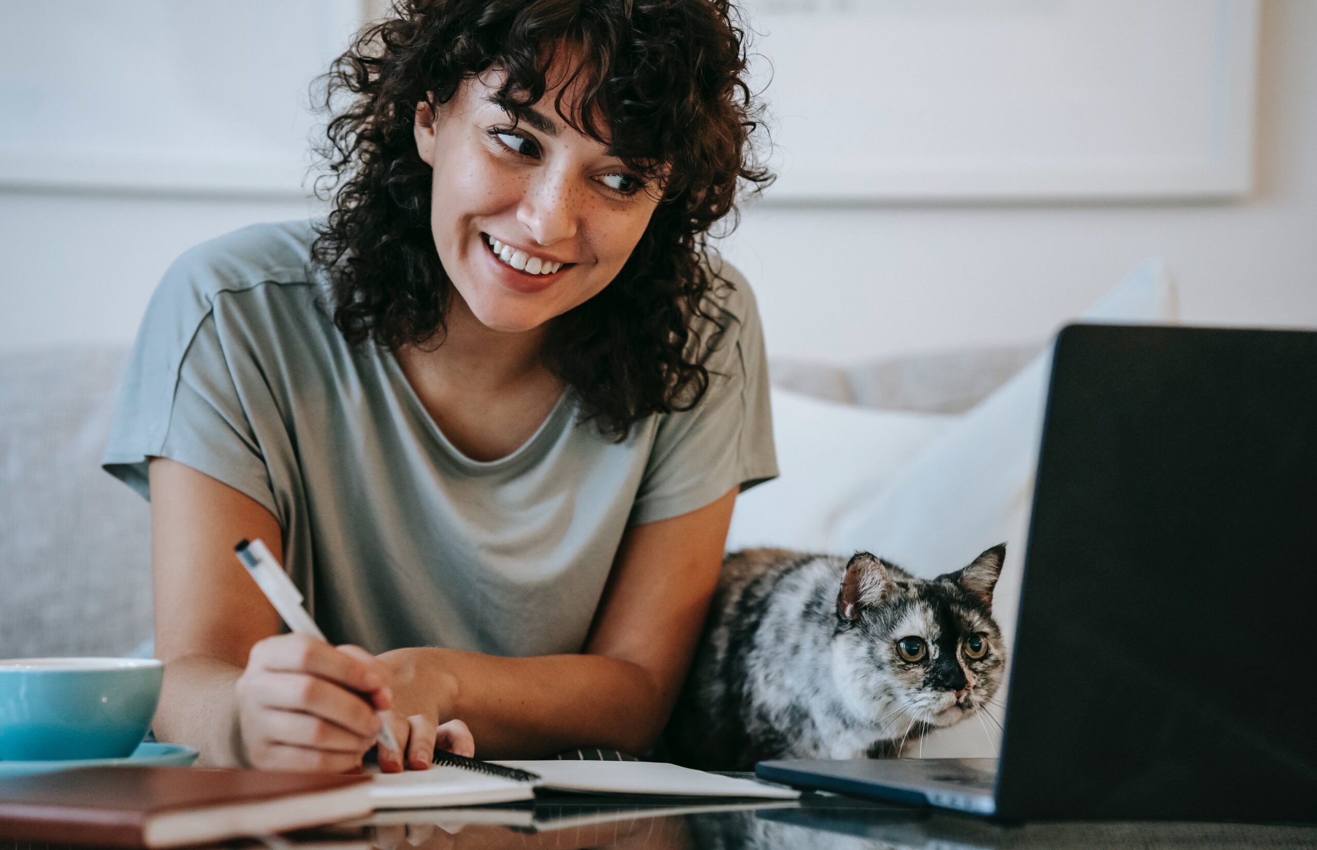 professional portfolio writing